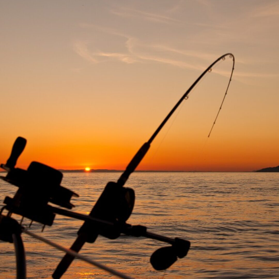 Locais pesca esportiva Porto Belo